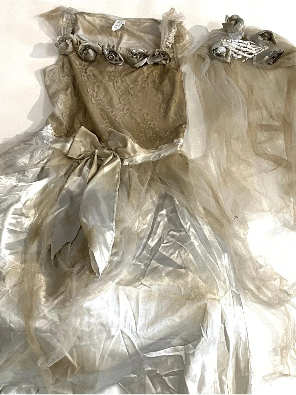 Girl’s Haunted Ghost Bride Halloween Costume Dress with Veil